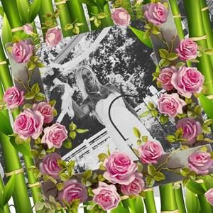 Meet your Posher, Kim